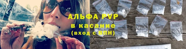 шишки Лабытнанги
