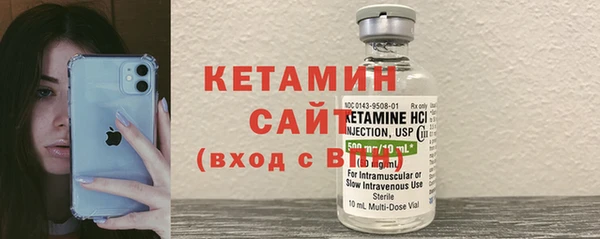 шишки Лабытнанги