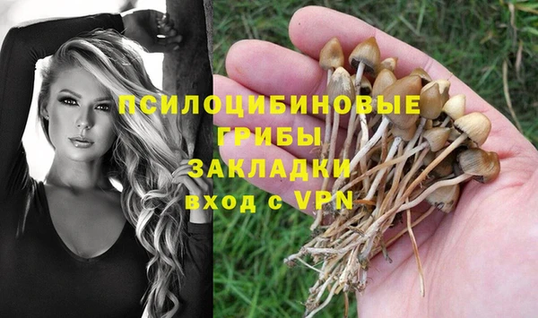 шишки Лабытнанги