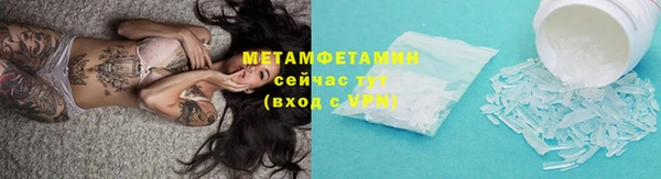 шишки Лабытнанги