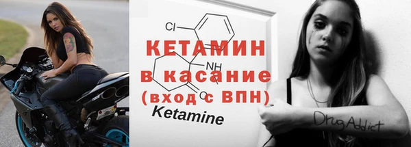 шишки Лабытнанги