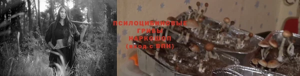 шишки Лабытнанги