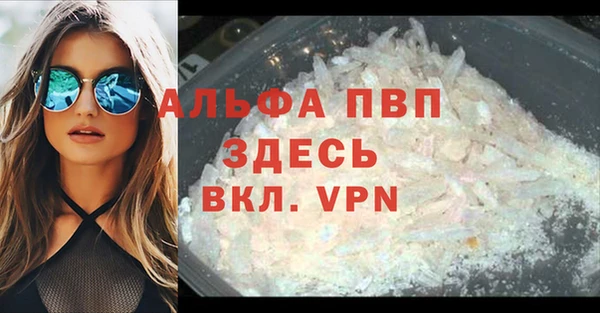 шишки Лабытнанги