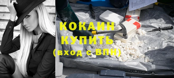 шишки Лабытнанги