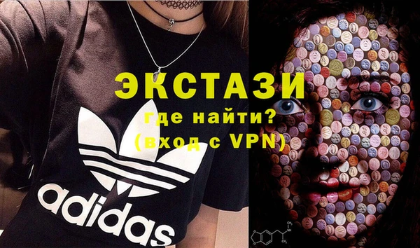 шишки Лабытнанги