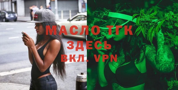 шишки Лабытнанги