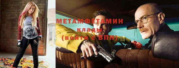 шишки Лабытнанги