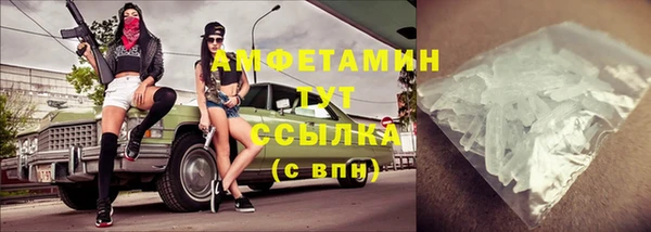 шишки Лабытнанги
