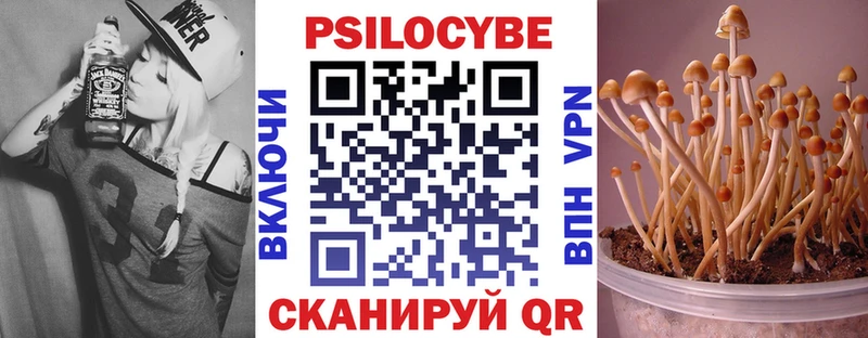 Галлюциногенные грибы Magic Shrooms  как найти наркотики  Полтавская 